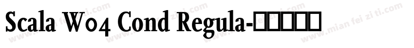 Scala W04 Cond Regula字体转换